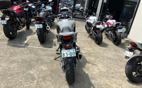 HONDA XL750 TRANSALP  2026 RD16