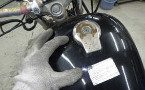 YAMAHA VIRAGO 250 3DM