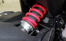 TRIUMPH DAYTONA660 2025