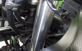 KAWASAKI NINJA 400 2022 EX400G