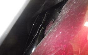 HONDA TACT-4ﾍﾞｰｼｯｸ