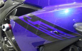 YAMAHA YZF-R25 2024 RG43J