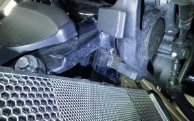 KAWASAKI Z900RS 2021 ZR900C