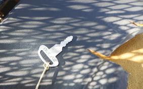 SUZUKI BIRDIE 50 1970 BA41A