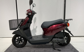 HONDA MANY CTOR AF79