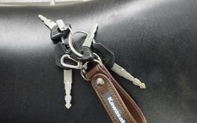 KAWASAKI NINJA 250 ABS EX250L