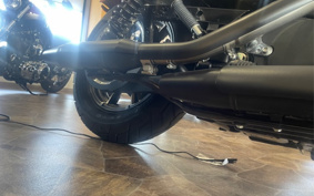 HARLEY XL883N 2020 LE2