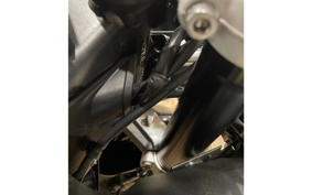 TRIUMPH DAYTONA 660 2026 LGL23U