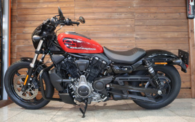 HARLEY RH975 NIGHT STAR 2023 ZH1