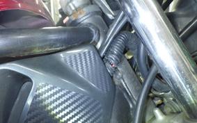 YAMAHA SRX250 Gen.2 3WP