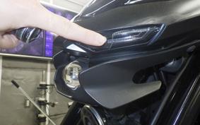 YAMAHA MT-25 A 2010 RG43J
