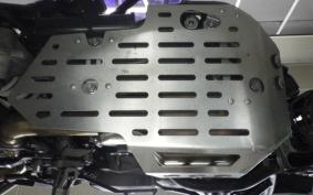 TRIUMPH TIGER 800 2019