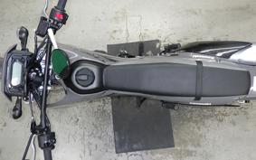KAWASAKI KLX230 SM 2021 LX232A