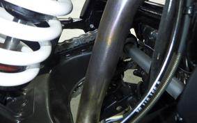 BMW G310GS 2024