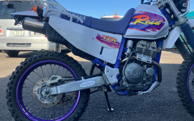 YAMAHA TT250R 4GY