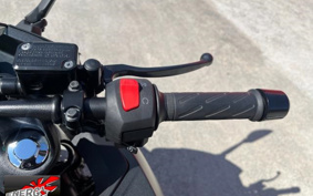 SUZUKI GIXXER 250 ED22J