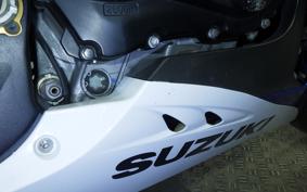 SUZUKI GSX-R1000 2010