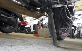OTHER +メガリ250R