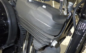 HARLEY XL1200NS 2019