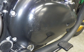 KAWASAKI W800 2011 EJ800A