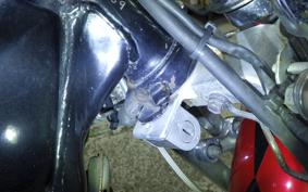 HONDA STEED 400 VLS 1999 NC37
