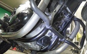 KAWASAKI W800 CAFE 2020 EJ800B