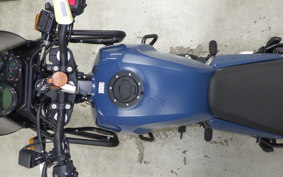 OTHER +ENFIELD ﾋﾏﾗﾔﾝ 2024