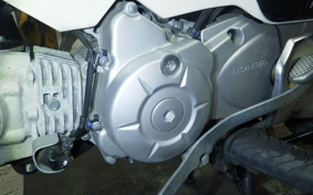 HONDA ｸﾛｽｶﾌﾞ50 2021 AA06