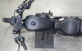 HARLEY XL883N 2013
