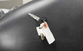 YAMAHA VIRAGO 250 3DM