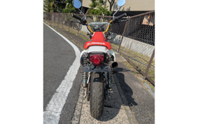 HONDA MONKEY Z50J
