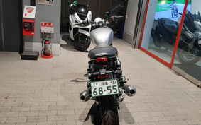 TRIUMPH TRIUMPH  SPEED  TWIN 900 2025 DPOG26