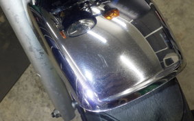 HONDA APE 100 2013 HC07