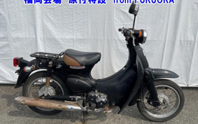 OTHER  LITTLE CUB -E FI