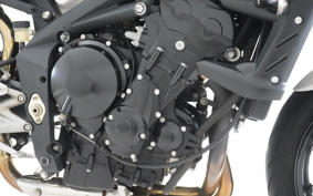 TRIUMPH STREET TRIPLE 2009 TMD406
