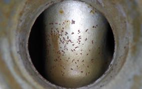 KAWASAKI ESTRELLA 2023 BJ250A