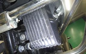 SUZUKI ｼﾞｸｻｰ250 2004 ED22B