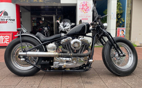 ROAD HOPPER PRO TO  TYPE2 2011 HR3