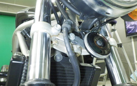 HONDA VTR 250 Gen. 2 1992 MC33