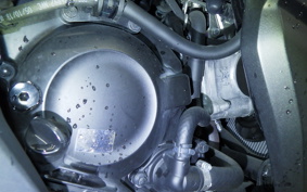 HONDA FORZA 250 2022 MF13