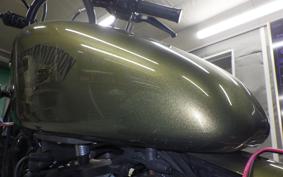HARLEY XL883N 2015
