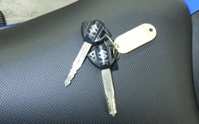 SUZUKI GSX250RA 2001