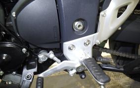 TRIUMPH TIGER 1050 2009