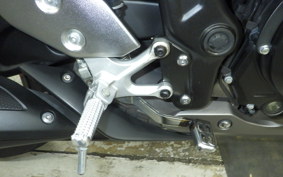 YAMAHA YZF R-3 2019 RH13J