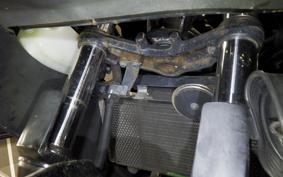 KAWASAKI NINJA 250 EX250L