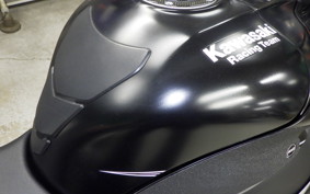 KAWASAKI ZX 10 NINJA RR 2017