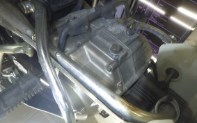 HONDA C50 SUPER CUB 2024 AA01