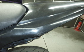 YAMAHA WR250X 2024 DG15J