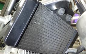 HONDA VTR 250 MC33