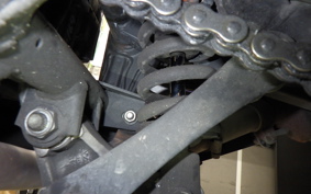 KAWASAKI NINJA 250